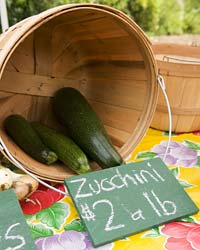 PHOTO: zucchini
