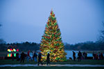 PHOTO: Tree Lighting