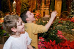 PHOTO: Tree Lighting