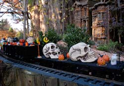 PHOTO: Hallowfest