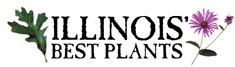 Search Illinois' Best Plants database