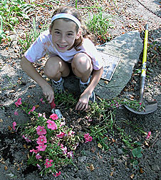 PHOTO: planting petunias