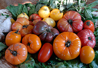 PHOTO: Heirloom tomatoes