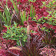 PHOTO: Natural Landscape Garden