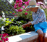 PHOTO: hort therapy