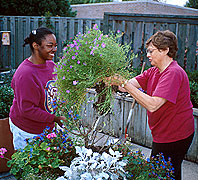PHOTO: pruning as therapy