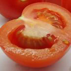 PHOTO: tomato