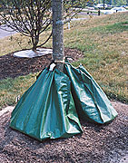 PHOTO: drought tree watering bag