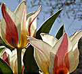 PHOTO: spring walk