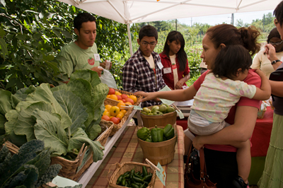 PHOTO: getting local produce from a market stand