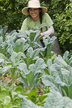 PHOTO: in the kitchen garden