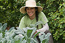 PHOTO: in the kitchen garden.