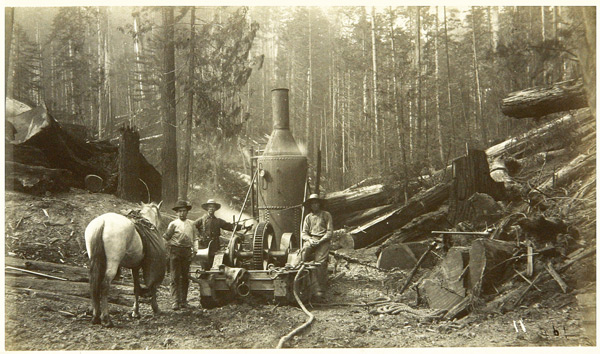 PHOTO: Logging with Donkey Engine