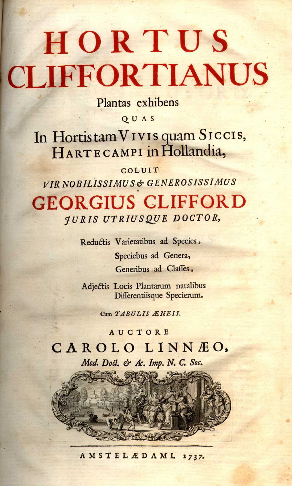 Mrs. Hussey's Mushrooms Chicago Botanic Garden