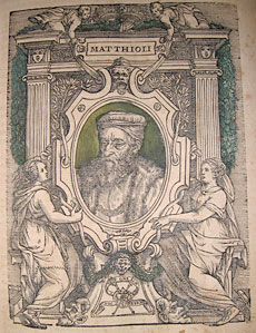 ILLUSTRATION: Matthioli