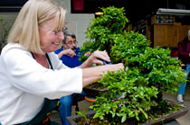 PHOTO: Volunteering at the Garden