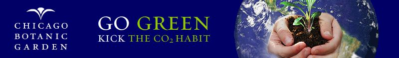 World Environment Day
