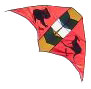 PHOTO: kite