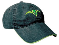 PHOTO: baseball cap