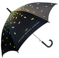 PHOTO: umbrella.