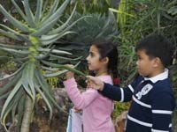kids exploring the greenhouse