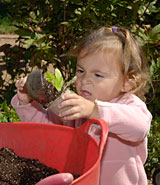 PHOTO: girl potting plant