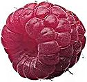PHOTO: raspberry