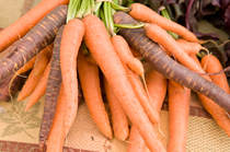 PHOTO: Burpee's Golden beets