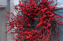 PHOTO: Wreath