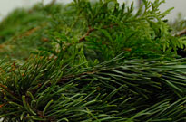 PHOTO: Wreath