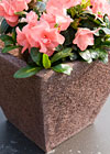 A compostable pot.