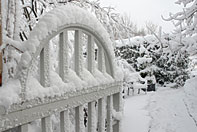 PHOTO: the english walled garden in snow