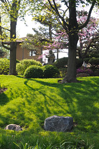 PHOTO: the lawn on the Japanese Island