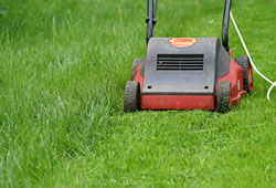 Electric Mower