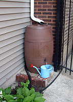 Rain barrel