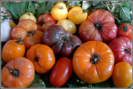 PHOTO: heirloom tomatoes