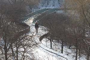 PHOTO: a winter walk