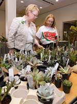 PHOTO: Succulent Show