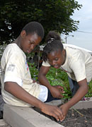 PHOTO: schoolkids planting a raised bed garden