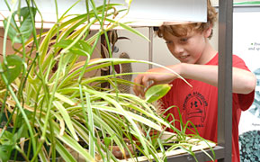 PHOTO: boy tending terrarium