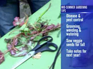Click here to view video.