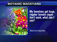 Click here to view video.