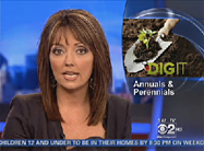 Click here to view video.