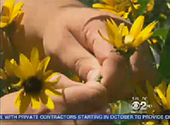 Click here to view video.