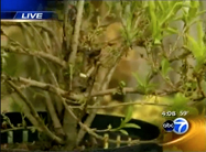 Click here to view video.