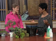 Click here to view video.