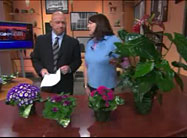 Click here to view video.