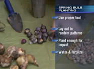 Click here to view video.