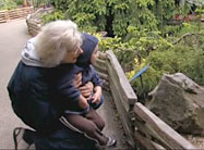 Click here to view video.