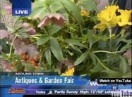 Click here to view ABC-7's Live Green segment.